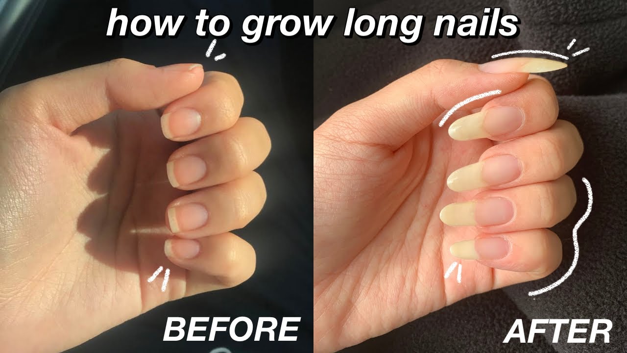how long nail grow