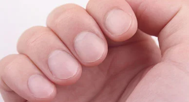 nail growth oils