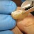 Mastering Nail Care: The Ultimate Guide to Fingernail Clippers